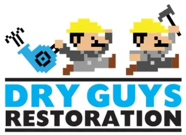 Dry Guys Restoration