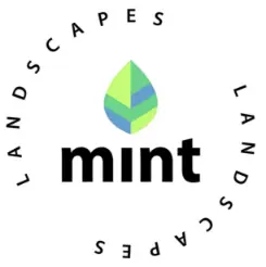 Mint Landscape